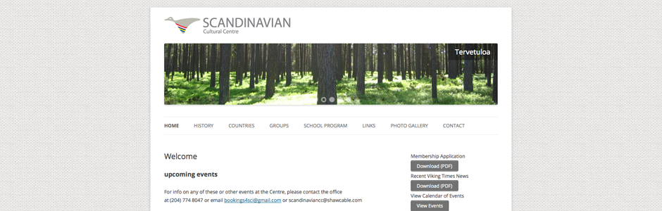 Scandinavian Centre Website Design